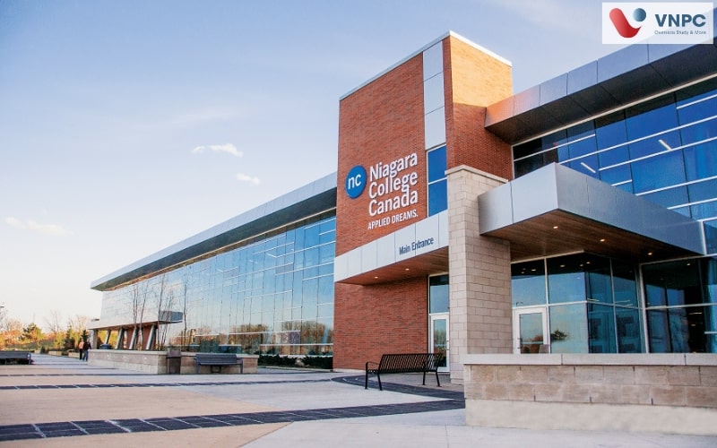 Trường Niagara College: Ngành học, King88 là nhà cái cá cược online đỉnh cao số 1 Châu Á, King88 ưu đãi hấp dẫn mỗi ngày